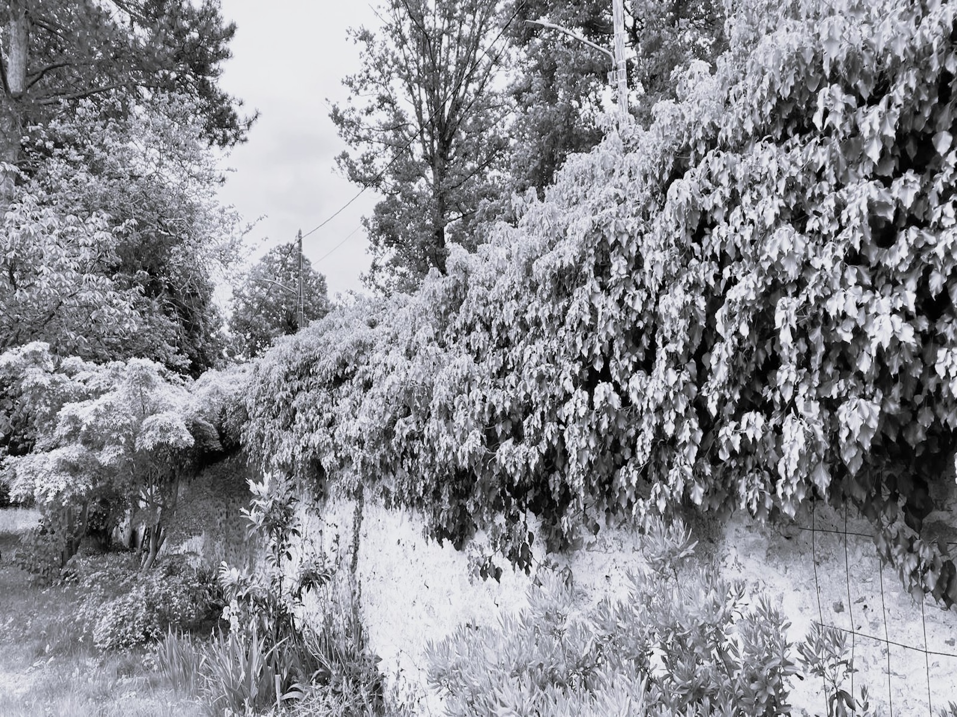 Ecole Maternelle Soulins Brunoy 2027