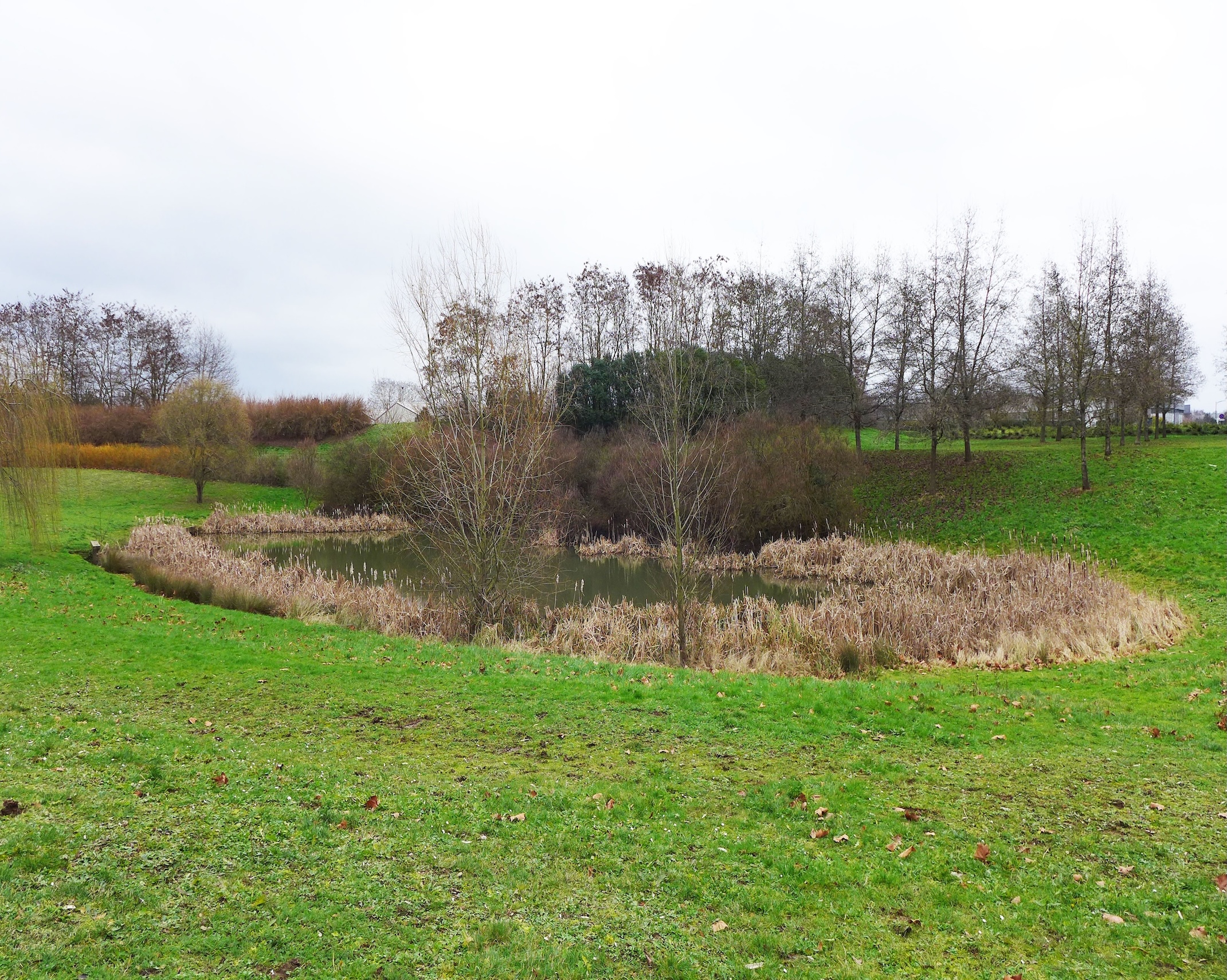 Salle des fetes Jean Crosnier 2024