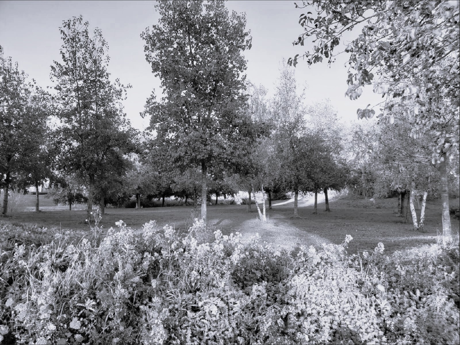 Salle des fetes Jean Crosnier 2024