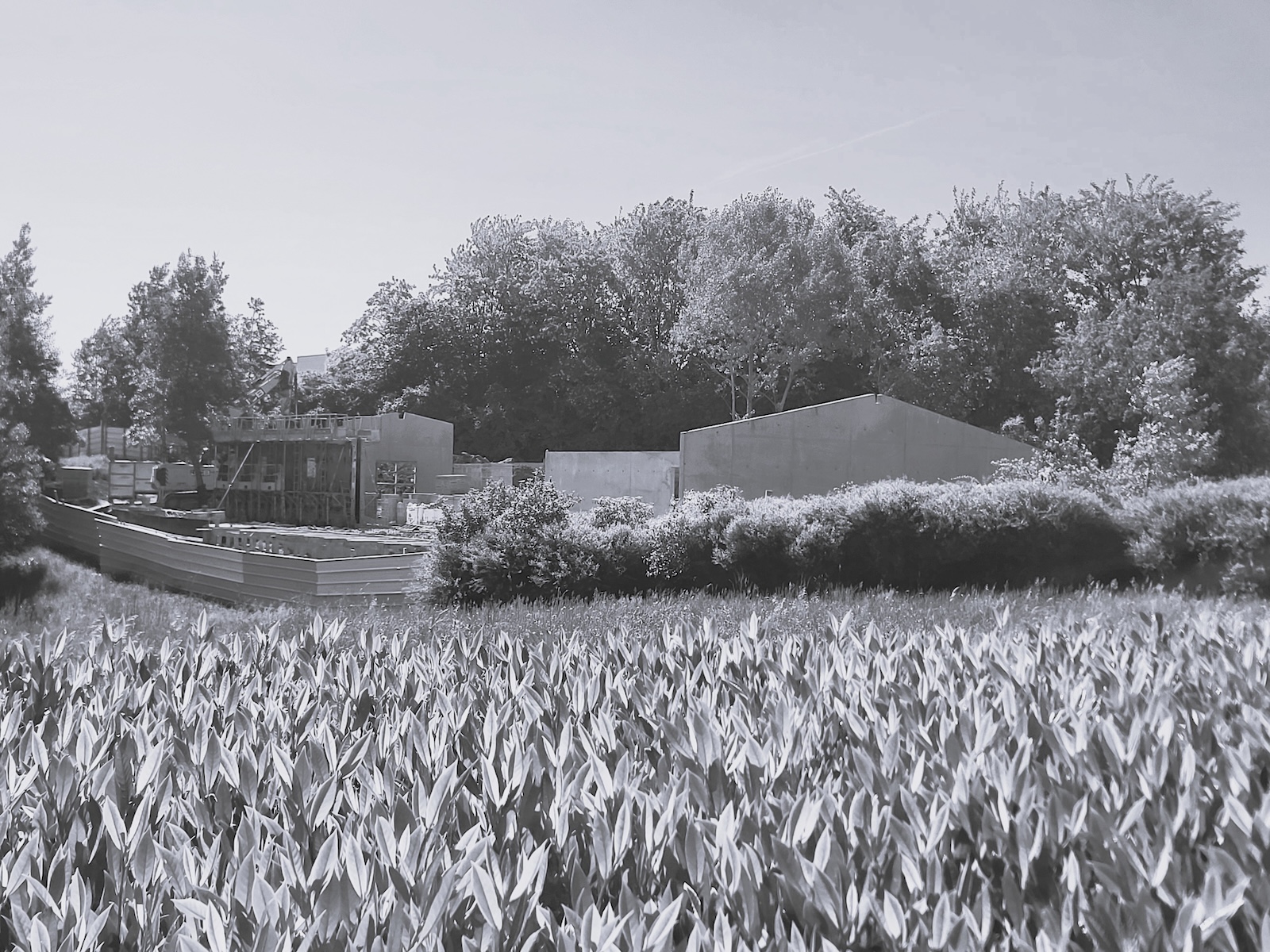 Salle des fetes Jean Crosnier 2024